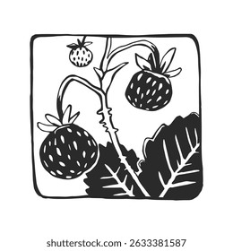 Vector hand-drawn illustration of strawberry. Sketch of floral element. Summer berries.