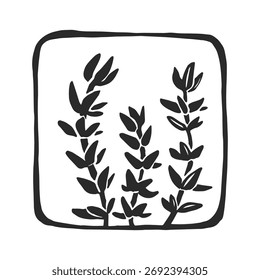Vector hand-drawn illustration of thyme. Botanical sketch in frame for stamp design.