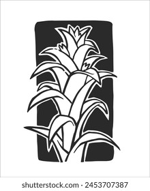 Vector hand-drawn illustration of a tropical plant isolated on a white background. A stamp with a floral element of South American nature. A sketch of the Guzmania.
