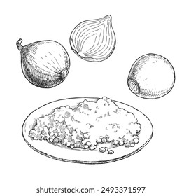 Ilustración de Vector dibujado a mano de una cebolla entera, pelada, media y cortada en rodajas, aislada sobre un fondo blanco. Bocetos de verduras frescas para el diseño de una receta culinaria.