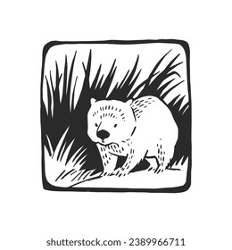 Vector hand-drawn illustration of wombat on grass isolated on white. Stamp with wild Australian animal in sketch style.