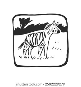 Vector dibujado a mano ilustración de cebra aislada en blanco. Sello con animal africano salvaje en estilo de boceto.