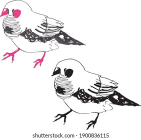 vector hand-drawn image of a bird with red beak and paws. Silhouettes of a small feathered animal for the design of cards, logo, packaging, baby products, patterns. cartoon bird handmade goods