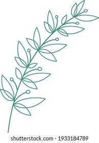 Vector hand-drawn image of a branch with leaves outline