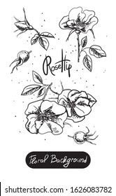 Vector hand-drawn images of flowers. Illustration with flowers, floral background. black Rose hip flowers