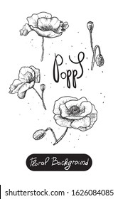 Vector hand-drawn images of flowers. Illustration with flowers, floral background. Poppy black