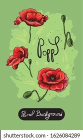 Vector hand-drawn images of flowers. Illustration with flowers, floral background. Poppy color