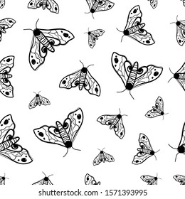 Vector hand-drawn ink contour black-and-white seamless repeating pattern with moths, butterflies on a white background. Seamless pattern with insects. Butterflies Moths.