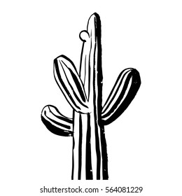 Vector hand-drawn ink image of cactus