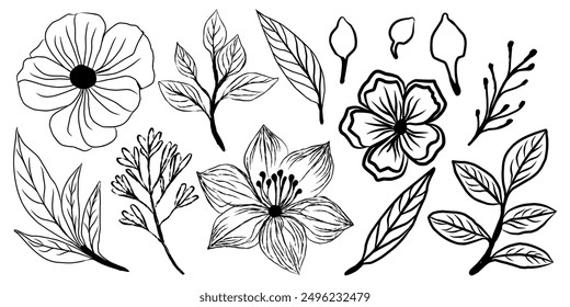 Vector dibujado a mano línea arte flor y hoja