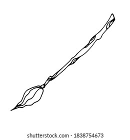 vector hand-drawn magic broom for flying. Doodle icon, sticker, print, sketch. attribute for a Halloween costume