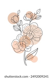 Vector hand-drawn orchid line art with abstract cream circles background. Design for wall art, greeting cards, textile.