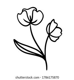 vector hand-drawn outline cartoon flower. stock single decorative Doodle element isolated on a white background. flower tattoo. tulip, poppy flower, sketch