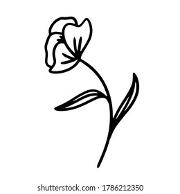 vector hand-drawn outline cartoon flower. stock single decorative Doodle element isolated on a white background. flower tattoo. tulip, poppy flower, sketch