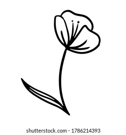 vector hand-drawn outline cartoon flower. stock single decorative Doodle element isolated on a white background. flower tattoo. tulip, poppy flower, sketch