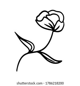 Vektorhandgezeichnete Cartoonblume. Stock-einzelnes dekoratives Doodle-Element einzeln auf weißem Hintergrund. Blumentätowierung. Tulpe, Mohnblume
