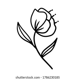 vector hand-drawn outline cartoon flower. stock single decorative Doodle element isolated on a white background. flower tattoo. tulip, poppy flower, sketch