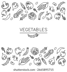 Vector dibujado a mano contornos de verduras aisladas sobre un fondo blanco. Perfecto para postales, libros para colorear, libros, embalajes, etc. Ilustración vectorial.