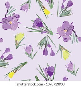 Vector hand-drawn pattern of crocus spring flowers collection violet and yellow on lilac background.  