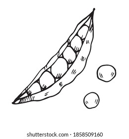 image vectorielle pois dessinés à la main avec pois. Icône gribouillage, autocollant, impression, croquis alimentaire. isolé sur fond blanc.