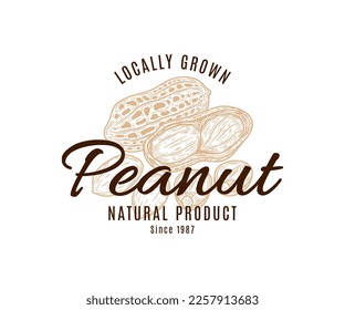 Vector hand-drawn peanuts label template, peanuts seeds and shells illustration