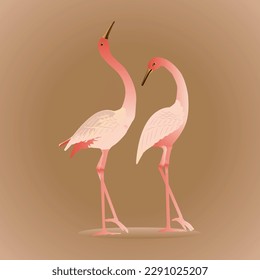 Vector hand-drawn pink cranes animal bird illustration