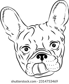 Vector hand-drawn portrait of a French bulldog. Sketch of an illustration with a dog's head highlighted on a white background. Cute little face of a pet with a protruding tongue.Vector illustration