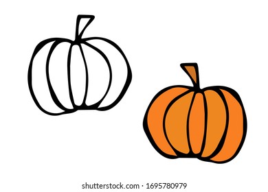 vector hand-drawn pumpkin. isolated on a white background. autumn element. graphic icon. coloring book with a color example.