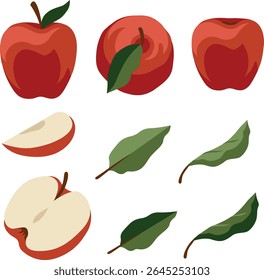 Vector hand-drawn red apple and leaves illustrations set. All the elements are isolated, you could move it and change the size