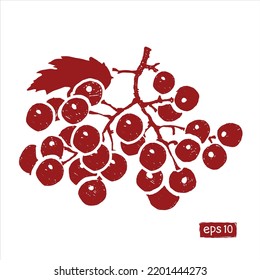 vector handdrawn red viburnum branch isolated on white background