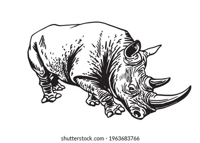 Vector hand-drawn rhino isolated on white ,dinosaur