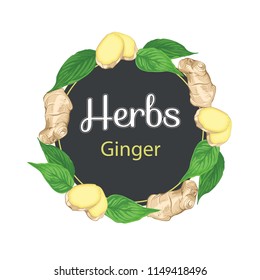 Vector hand-drawn round frame with fresh ginger root and ginger leaves . Hand drawn botanical sketch style. Hand drawn eco design for fabric and wrap paper, packaging- tea, oil, cosmetics etc.