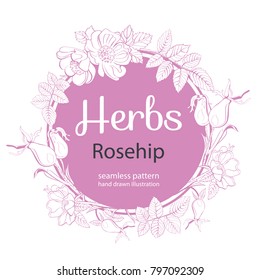 Vector hand-drawn round frame with rosehip flowers and berries, herbs . Rosehip hand sketch vector illustration. Hand drawn eco design for fabric and wrap paper, packaging- tea, oil, cosmetics etc.