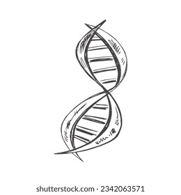 Ilustración de la escuela de vectores dibujada a mano. Estilo retro detallado 
esbozo de la cadena dna. Esbozo vintage. De vuelta a la escuela.  La ciencia.