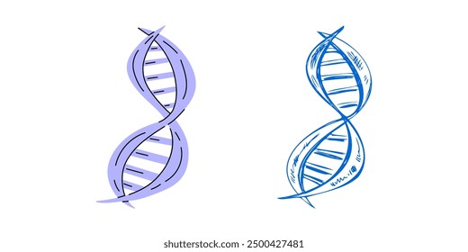 Vector hand-drawn school Illustration. Detailed retro style 
dna chain sketch. Vintage sketch element. Back to School.  The science.