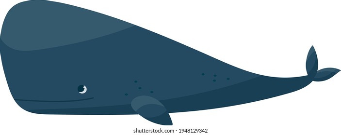Vector handdrawn sea mammal blue big cartoon cute whale 