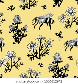 Vector handdrawn seamless pattern illustration with meadow flowers and honey bee for print, textile, fabric. Picture of camomile isolated on a white background. Vintage botanical drawing.