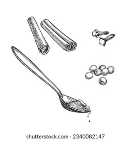 Conjunto vectorial de aderezos clásicos y cuchara con polvo aislado en blanco. Esbozo de palos de canela, de palomitas y de palillos de trébol con especias molidas. 