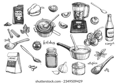 Vector hand-drawn set of ingredients for homemade ketchup cooking in engraving style. Collection of sketches of products for tomato sauce.
