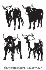 Conjunto de bueyes dibujados a mano por vectores aislados sobre fondo blanco, ilustración para diseño y tatuaje
