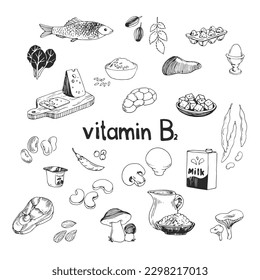 Vector hand-drawn set of vitamin B2 source foods. Dietetic organic nutrition. Doodle vector illustration with natural healthy products.