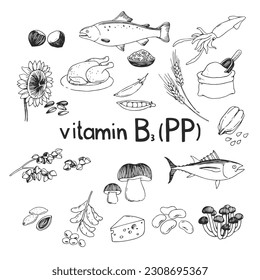 Vector hand-drawn set of vitamin B3 (PP) source foods. Dietetic organic nutrition. Doodle vector illustration with natural healthy products.