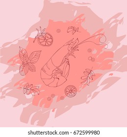 Vector hand-drawn shrimp for restaurant menu