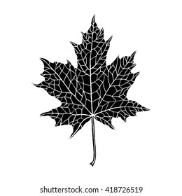 Vector hand-drawn silhouette of a maple leaf. Inversion. Trace ink drawing of a tree leaf. Fully isolated on white background, easy to use and recolor. For seasonal, holiday design. Botanical, nature.