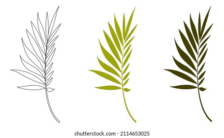 Vector hand-drawn silhouette of a palm leaf isolated on a white background. Tropical leaves.