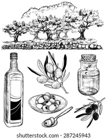 Vector hand-drawn sketch set of olive products