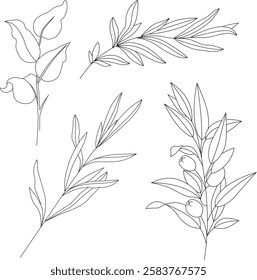 Vector hand-drawn sketches of branches and olive tree branch with leaves