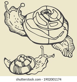 vector hand-drawn snails, vector doodle snails
