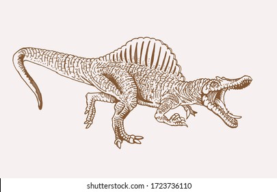 Vector hand-drawn spinosaurus, graphical sepia illustration, dinosaur 