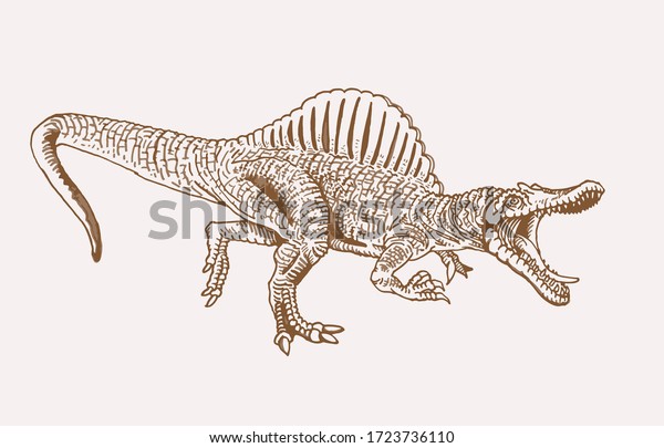 ベクター手描きのスピノサウルス グラフィカルなセピアイラスト 恐竜 のベクター画像素材 ロイヤリティフリー